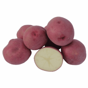 Red potatoes with one potato sliced open.