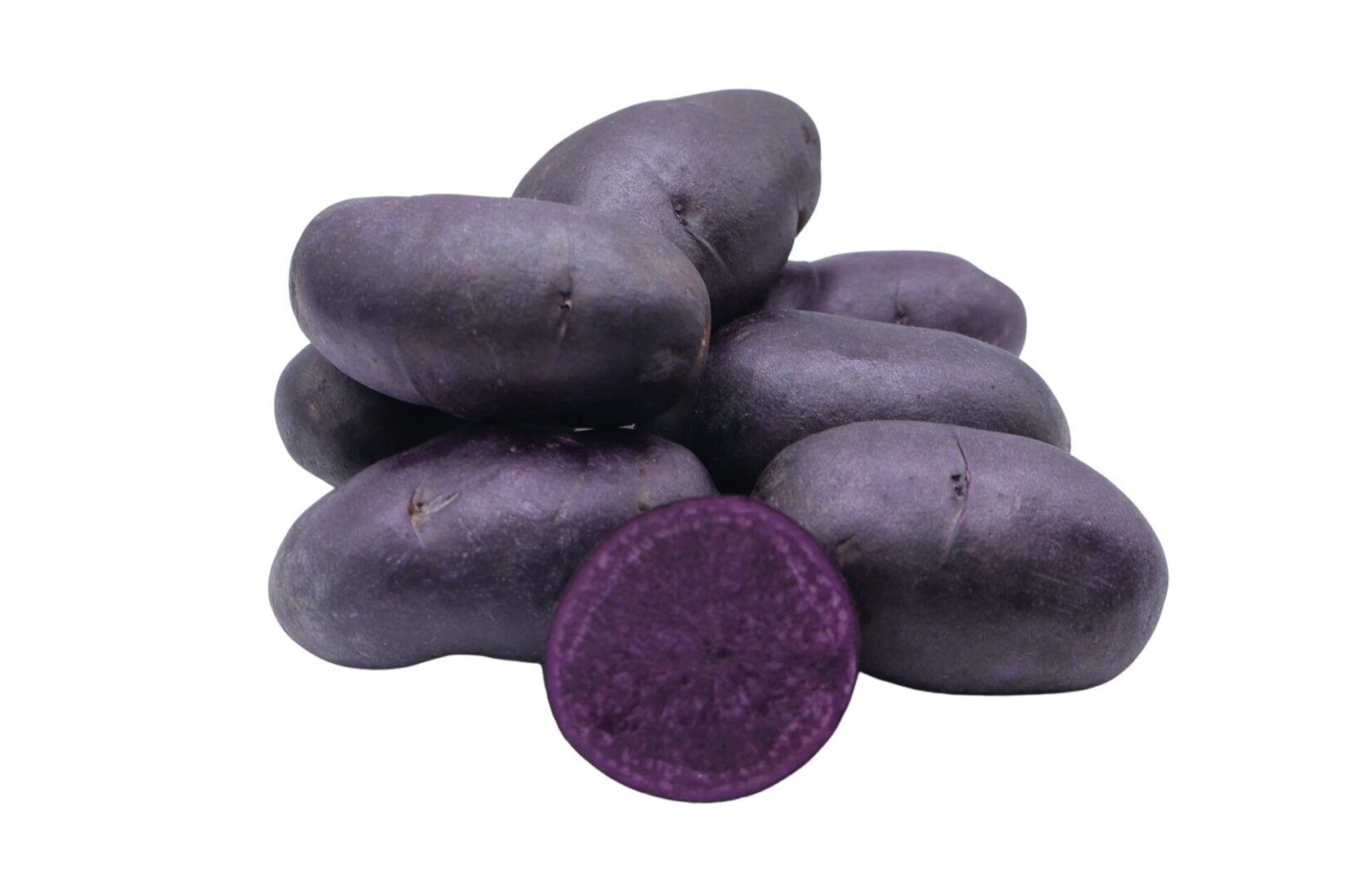 Purple Fiesta