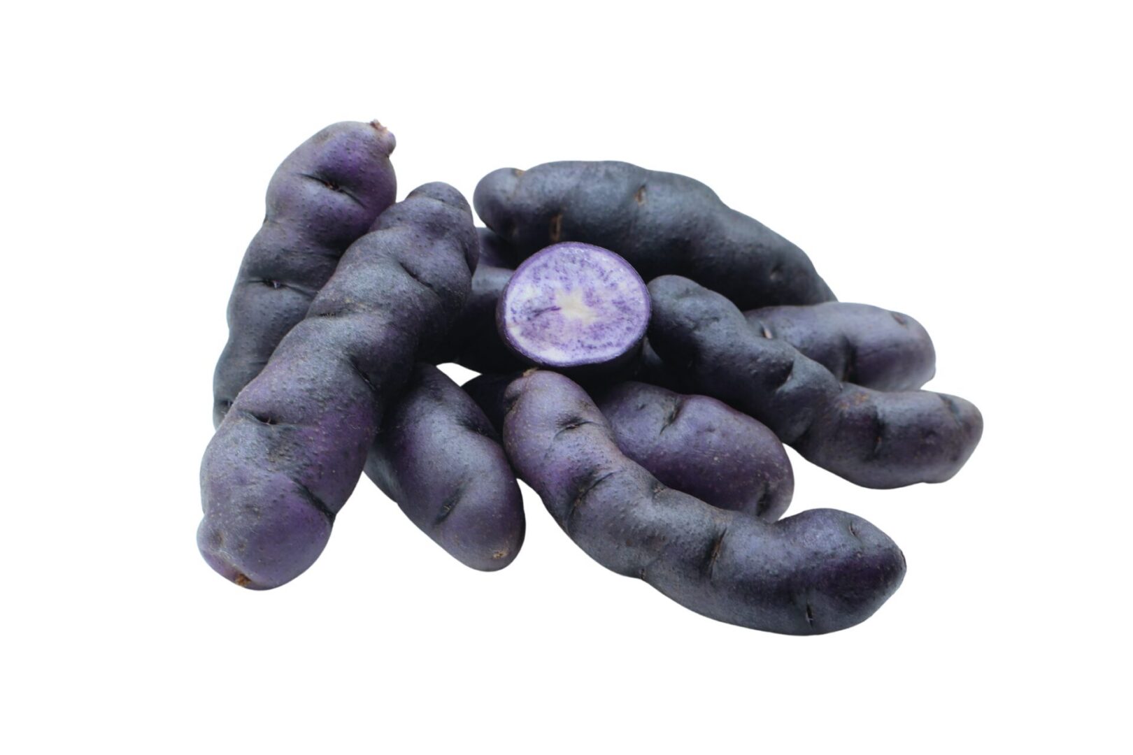 Violet Thumb